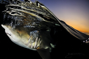 ~ Air Rush ~ by Geo Cloete 